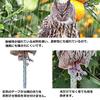 Sac Taske Bird Realistic Owl Bird Pigeon Crow Bird Pest Control of 3 Horned Repellent, Design, Scare, Repellent, Repellent, (Set Owls)