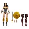 Hasbro Marvel Legends Squadron Supreme Power Princess Action Figure 6-inch Comics Collectible