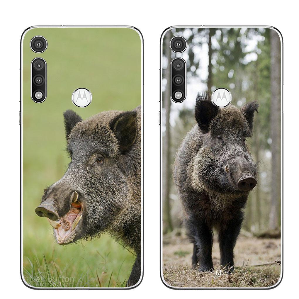 Animal Wild Boar Pig Phone Casing Cover for Motorola Moto G13 G14 G53 G54 G62 G72 G82 G84 E13 E20 G42 G32 G23 G22 Soft Case