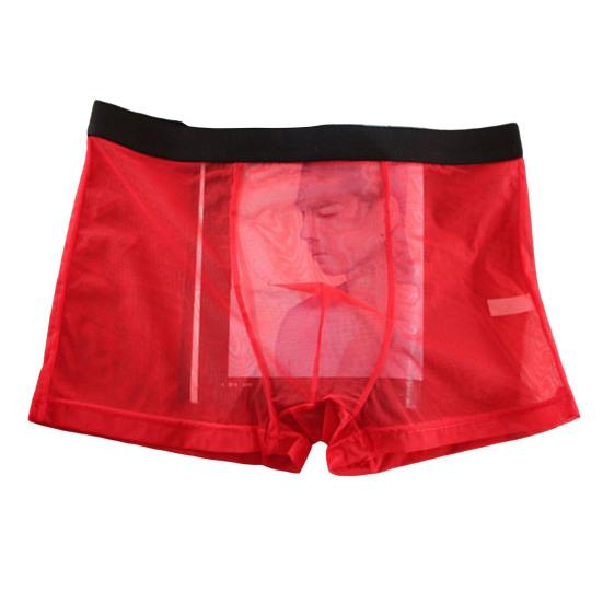 Men Sexy Underpants Ultra-thin Transparent Mesh Boxer Briefs See Through Stretchy Underwear for Daily Wear Home
