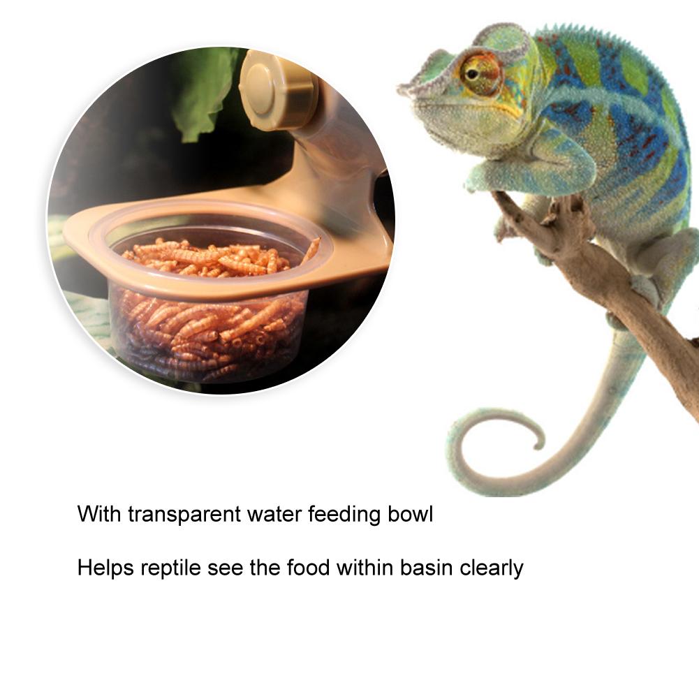 ABS Plastic Pet Reptile Suspension Food Feeder Fixed Hanging Water Breeding Bowl Feeding ToolSingle