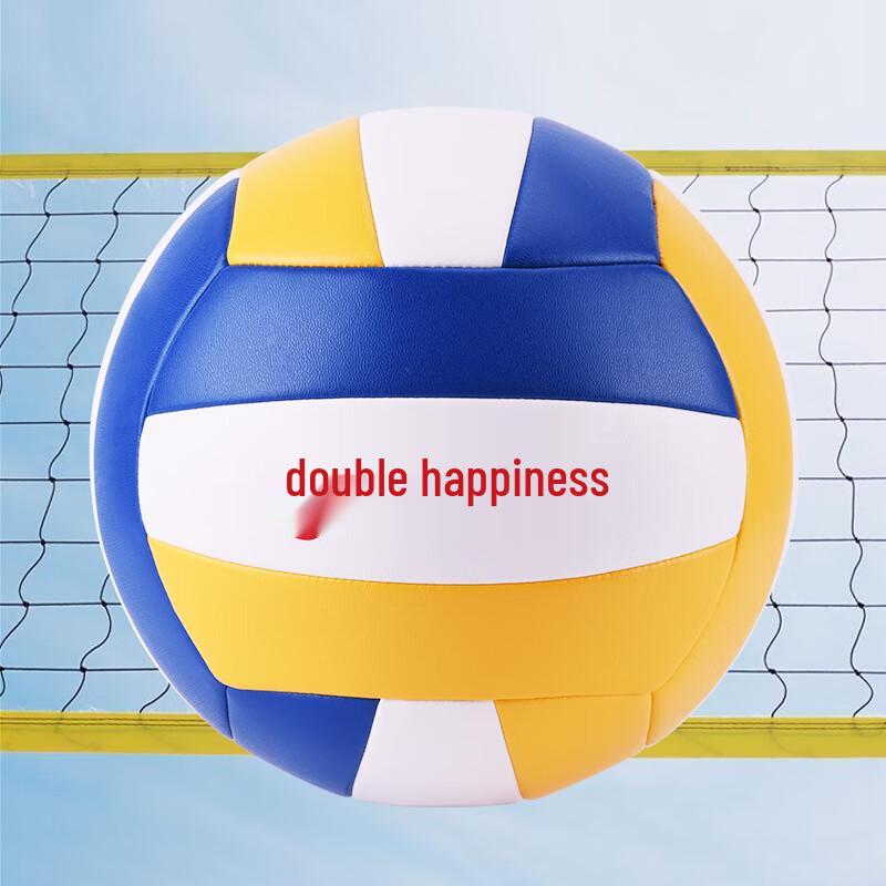 DHS Competition & Training Volleyball - Size 5