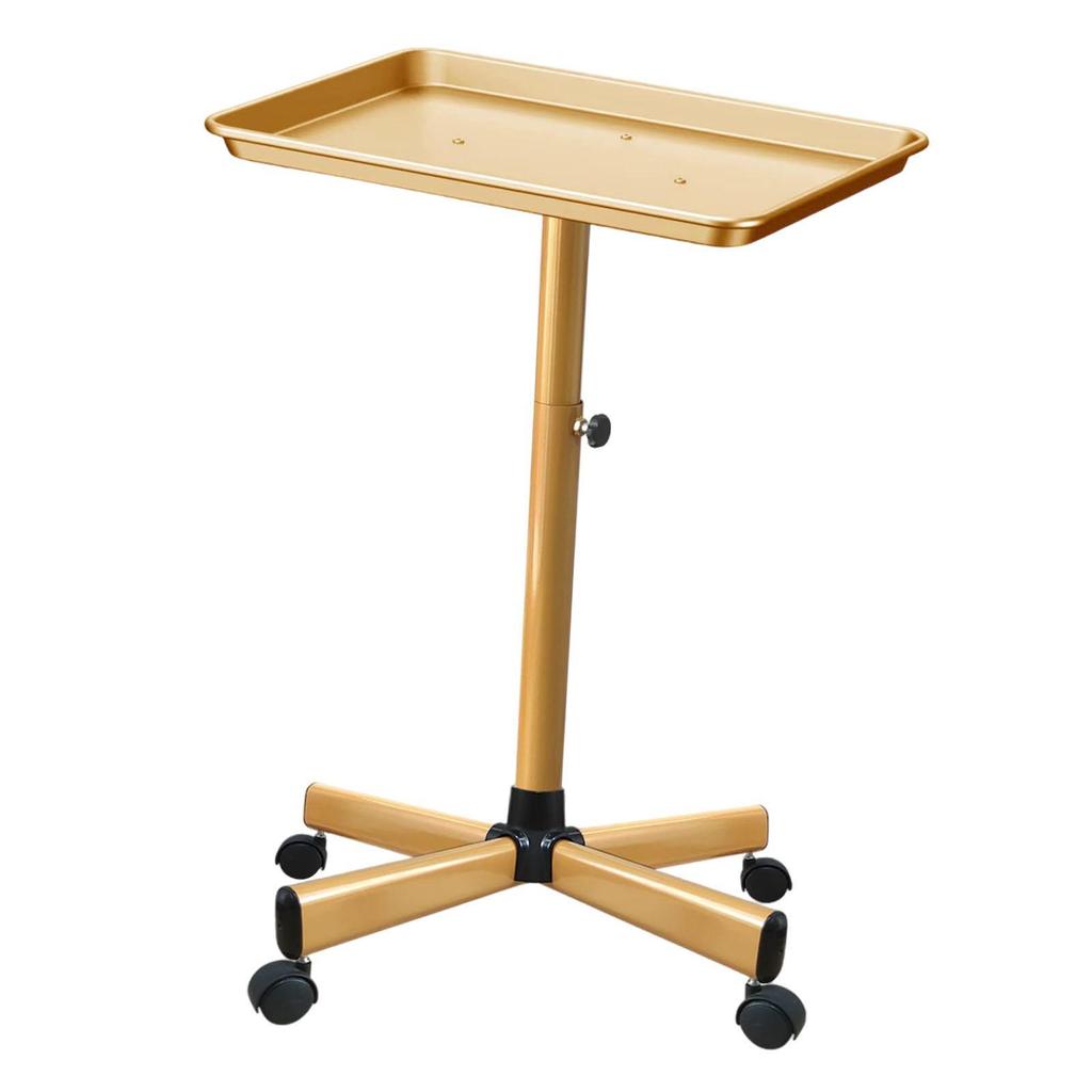 Salon Rolling Tray Cart with Wheels Trolley for Hairstylist Beauty SPA