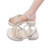 Platform sandals women's summer wear 2025 new fashion beach shoes women's French with skirt Roman shoes