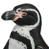 Soft Vinyl Toy Box 011 Penguin Humboldt Penguin Soft Vinyl Action Figure Non-Scale
