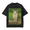 Meowl I Cant Take It Anymore Tshirt Men  Crazy 100 Cotton Tee Shirt Crewneck Short Sleeve T Shirts Summer Clothing