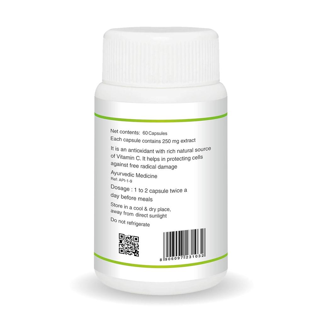 JAIN Amla Capsules 120 Count X Pack of 2 Natural Ayurvedic Supplement for Wellness and Energy Support
