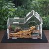 Acrylic Reptile Feeding Box Magnetic Spider Observation Box Animal Habitat Cage  Playing
