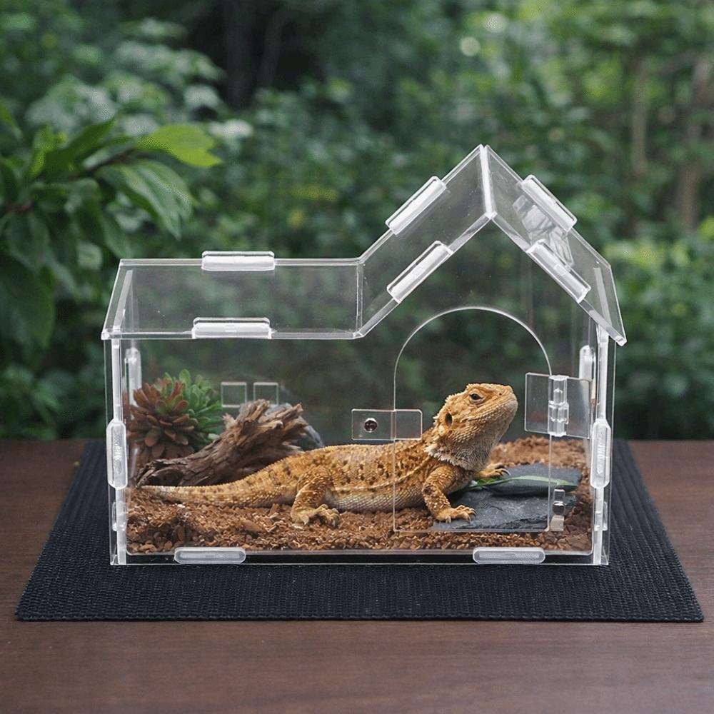 Acrylic Reptile Feeding Box Magnetic Spider Observation Box Animal Habitat Cage  Playing