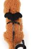 Harness with wings for small dogs and cats with a leash S 2-3.5 kg (black)