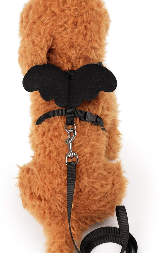 Harness with wings for small dogs and cats with a leash S 2-3.5 kg (black)