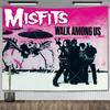 American Punk Band Misfitss Poster Banner Flag Rock Band Wall Tapestry Mural Metal Music Album Cover Home Decoration Fans Gifts