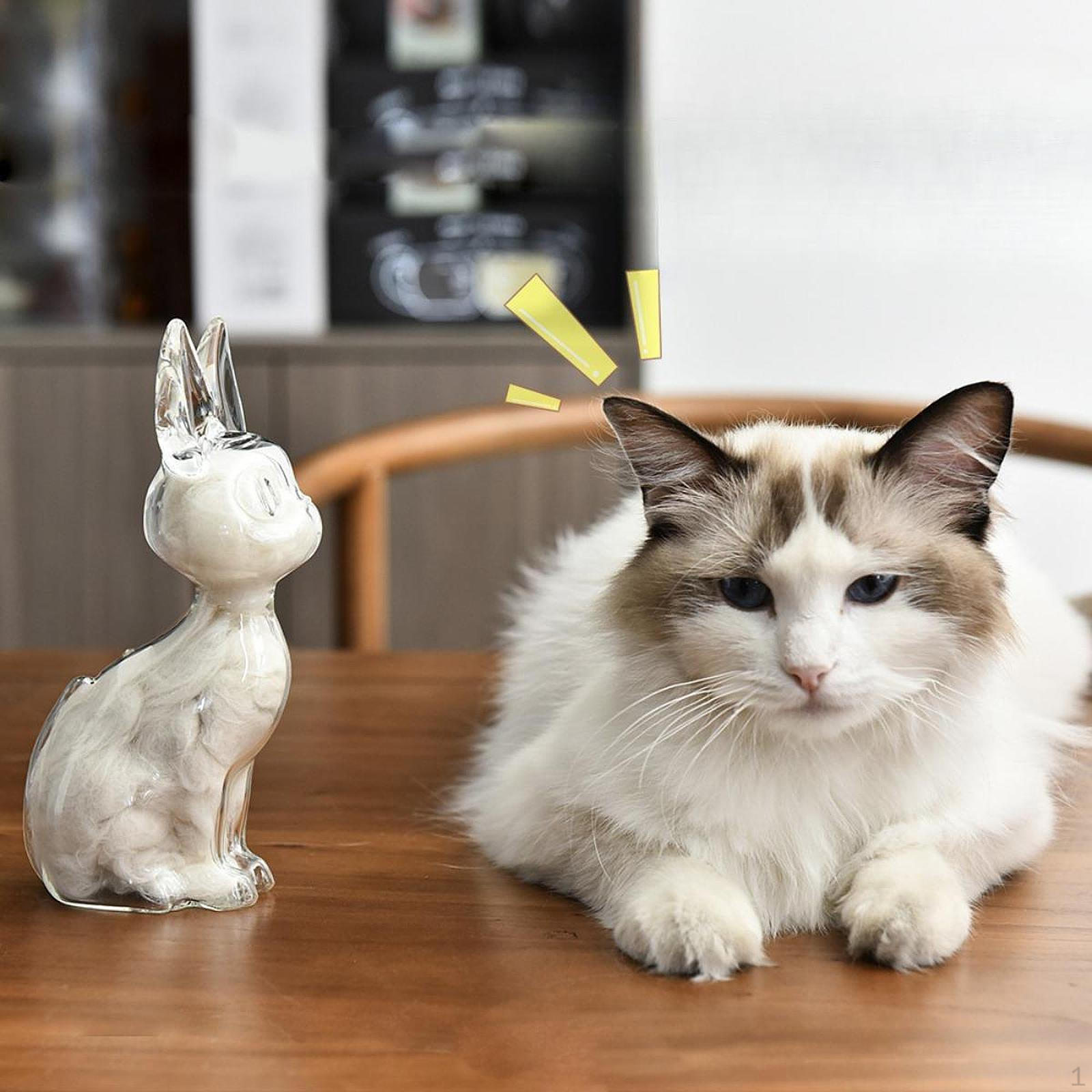 

Мемориальная бутылка для шерсти питомца, собак и кошек, стеклянный органайзер-контейнер для памятных вещей, милый