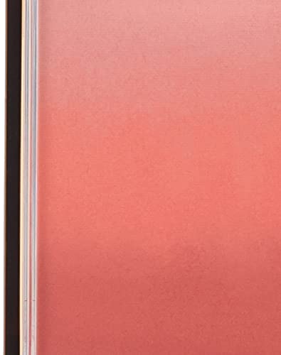 Excel Auratic Blush AB02 (Apricot Jam) Cheek