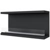Wall Mounted Bioethanol Fireplace X-RAY TÜV