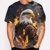 Pánské grafické tričko American Eagle 3D potisk trička Vzor zvířat Krátký rukáv Top Letní ležérní Oversized Pánské oblečení