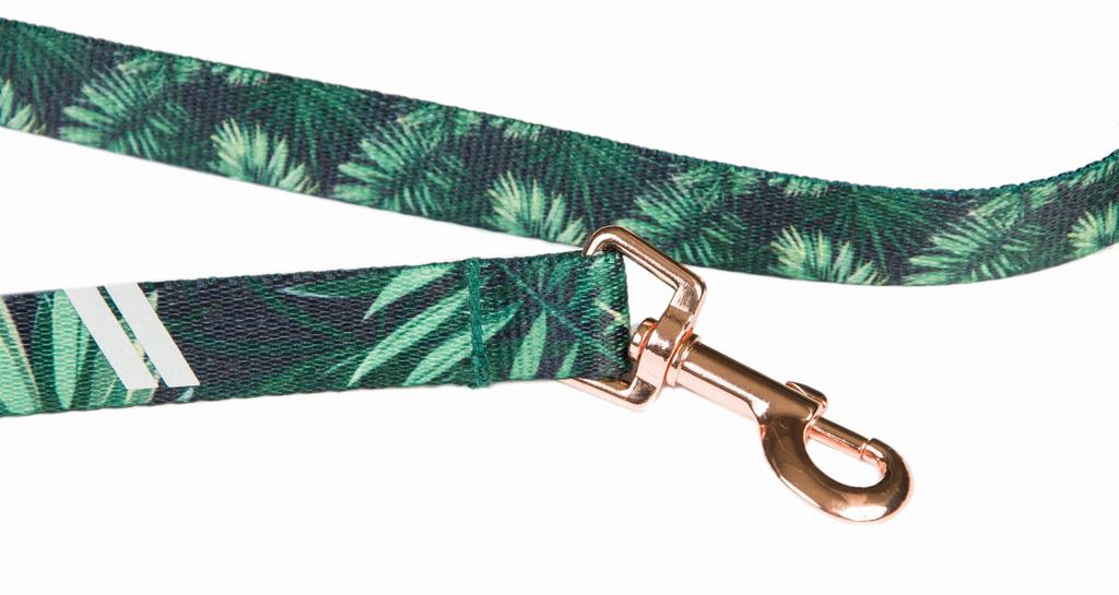 Short Leash 2cm X 150cm Forest Gold