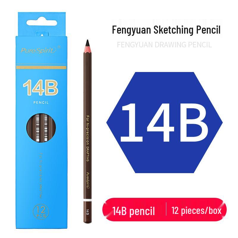 Charcoal Sketching Pencils Set: Soft/Medium/Hard (2B, 4B, 6B, 8B, 10B, 12B, 14B) for Students & Artists
