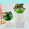 Faux Green Plant With Silk And Plastic For Hotel And Commercial Space Decoration