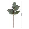 Nordic DIY Eucalyptus Branch for Wedding Decor