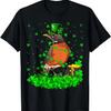 Irish Leprechaun American Robin Bird St