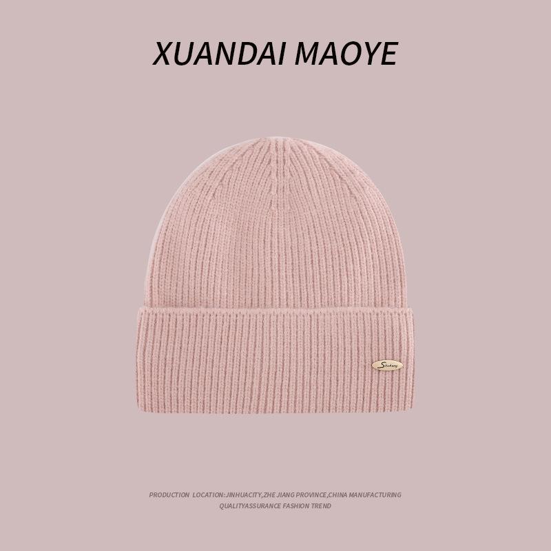 Autumn and Winter Casual Hats for Women Plush New Korean Knitted Hats Versatile Warm Ear Protection and Thickened Fashion Student