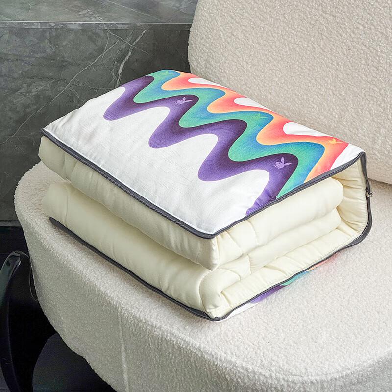 

Playboy Milk Velvet Pillow Quilt