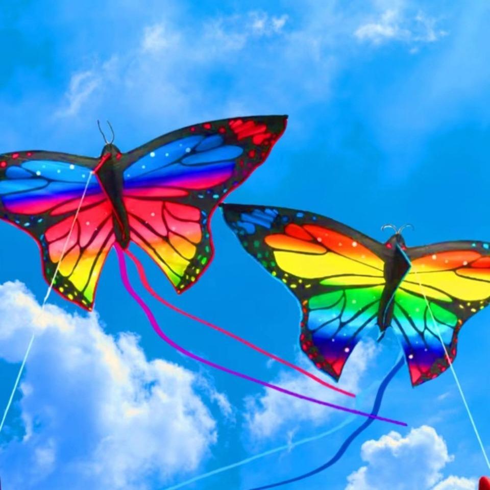 1.45m Colorful Butterfly Kite for Kids Easy To Fly Steering Flying Kites with Long Tail Outdoor Toys Perfect for Family Fun