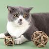 Catnip & Polygonum Teething Ball Toy for Kittens