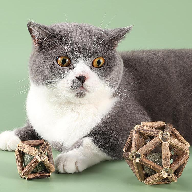 Catnip & Polygonum Teething Ball Toy for Kittens