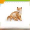 Ragdoll Katze Somali Katze Figur Für Kinder PVC Tier Modell Katze Zum Lernen Spielen