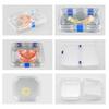Plastic Transparent Dental Box Denture Storage Box With Film Membrane Colorful Hinge For Crown And Bridges
