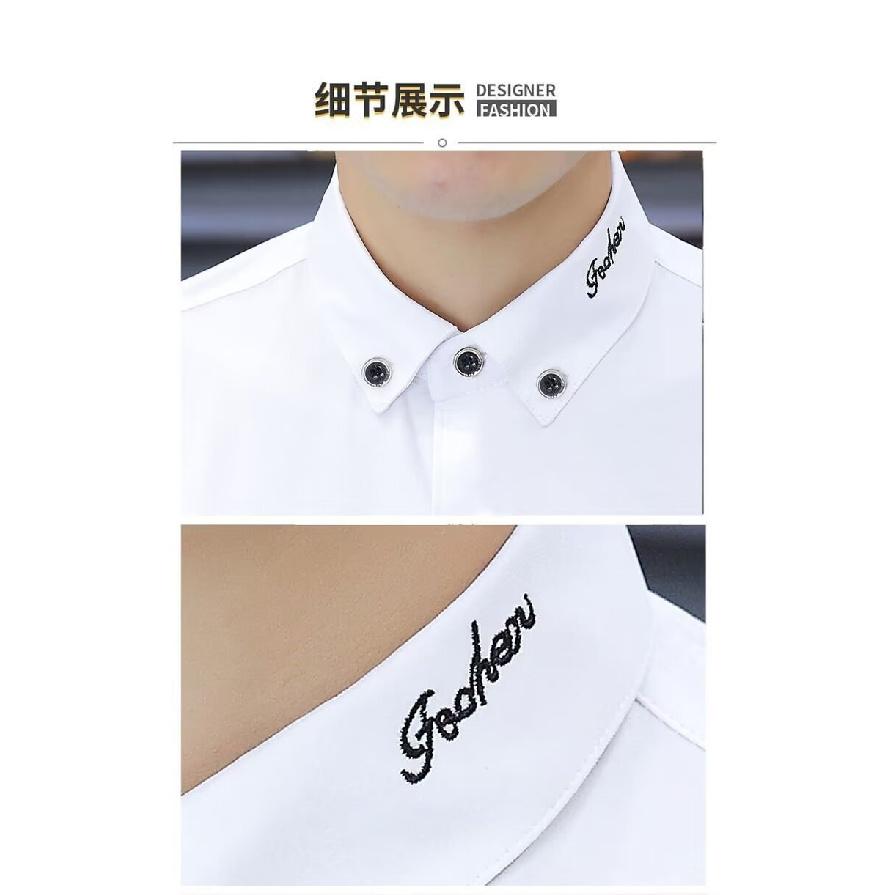Men'S Slim Fit Long Sleeved Shirt, Personalized, No Iron, Casual, Big Neck, High Neck, Solid Color, Versatile Shirt, 2024 Spring And Autumn