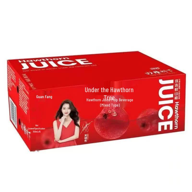 Hawthorn Fruit Juice Drink with Pulp