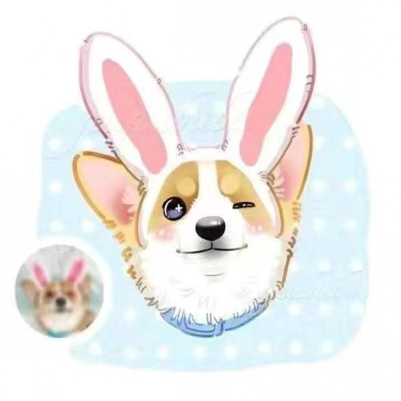 

Одежда для питомцев Осень Зима Новая Вельветовая Юбка Тыква Пряжка для поводка Тедди Бишон Собака Кошка Теплая Кружевная Юбка Фабрика Recommended Weight Back l