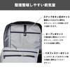 Ace Vitara WR Business B4 PC Setup Black Backpack, File, 13-inch Compatible, Function,