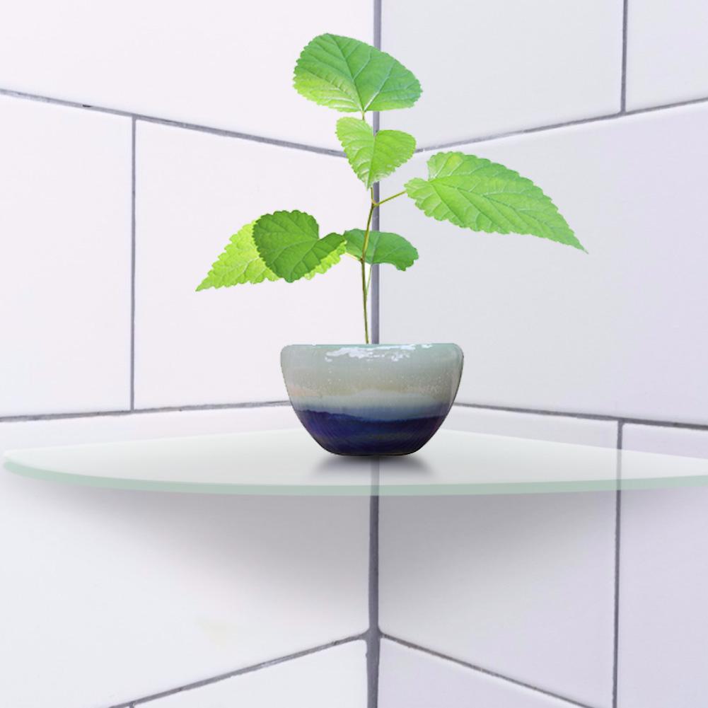 2 Pcs Acrylic Radial Corner Shelf Wall Mounted Floating Shelves Home Decor(Transparent)