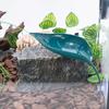 Stable Plastic Frog Geckos Platform Habitat Simulated Leaves Suction Cup Fish Resting Terrace Reptile Basking Area Geckos
