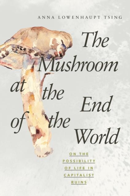 The The Mushroom At the End of the World : On the Possibility of Life In Capitalist Ruins Book