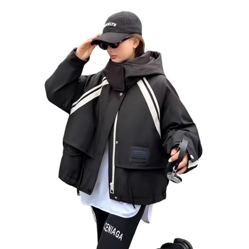 European Style Hooded Down Jacket - 2024 Winter Loose Fit, High-End Small Size Thick Coat