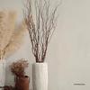 Decorative White Dragon Willow & Mulberry Branches for Windows and Displays