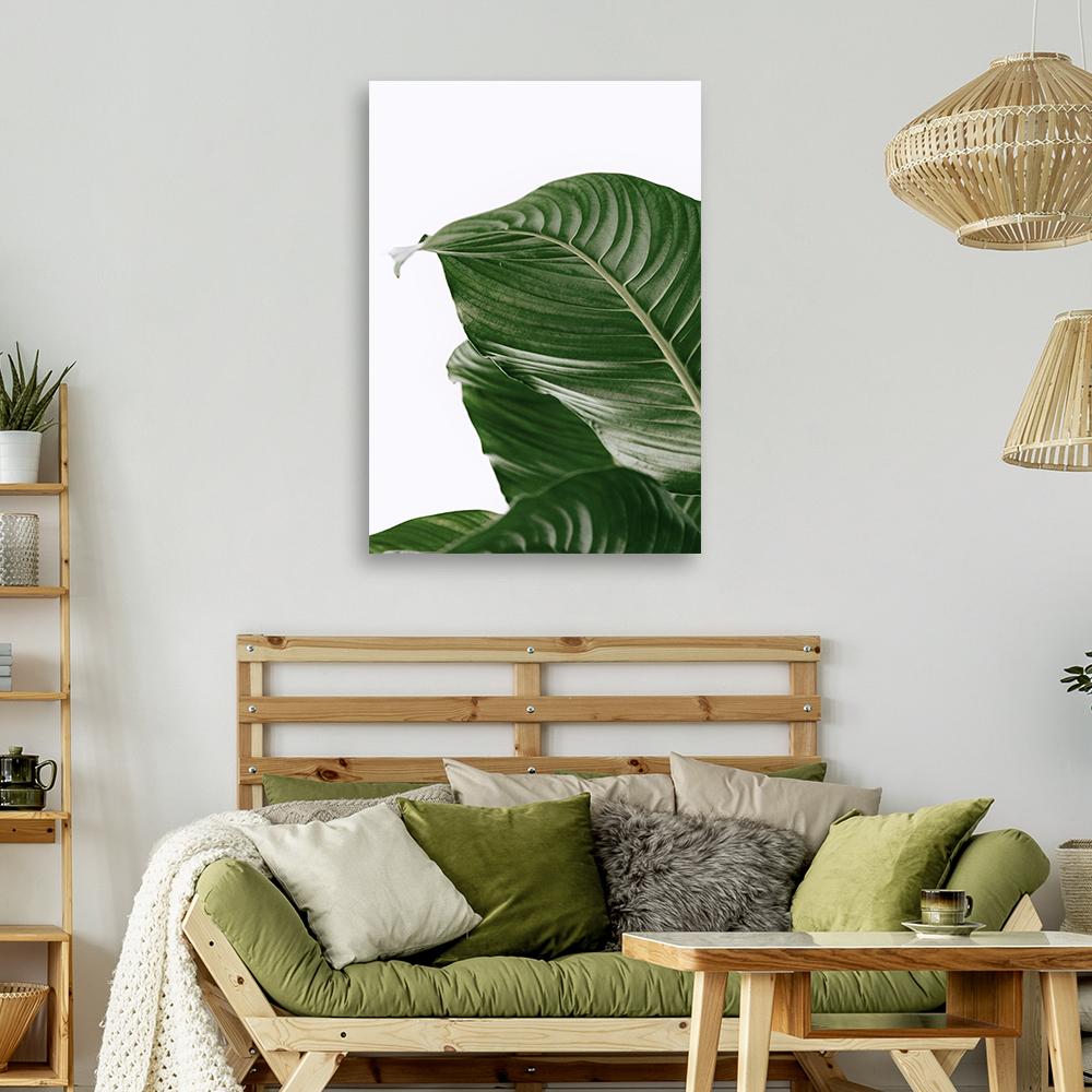 Canvas Print, Green Leaf Nature Botany