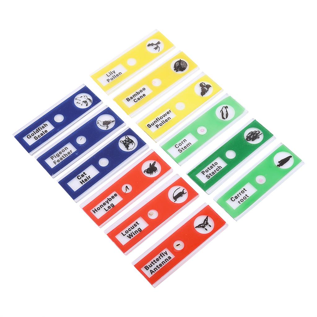 12pcs Plastic Prepared Microscope Slides Animals Insects Flowers Plants Mix Color