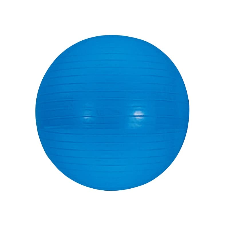 EVERNEW Gym Ball 65 ETB624