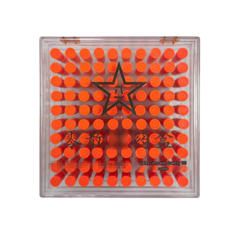 Transparent 9mm Ammunition Storage Box