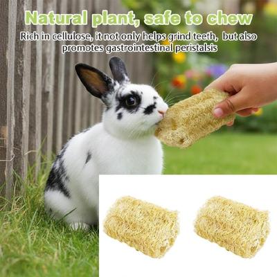 Loofah Chew Toy for Mices with Rabbit Shape Natural Fun Play Bunnies Toy for Dental Health and Boredom Relief