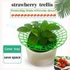 10Pcs Durable Watermelon Support Rack 3-Legged Reusable Strawberry Planting Holder Plant Protector for Farm Vegetable Growing