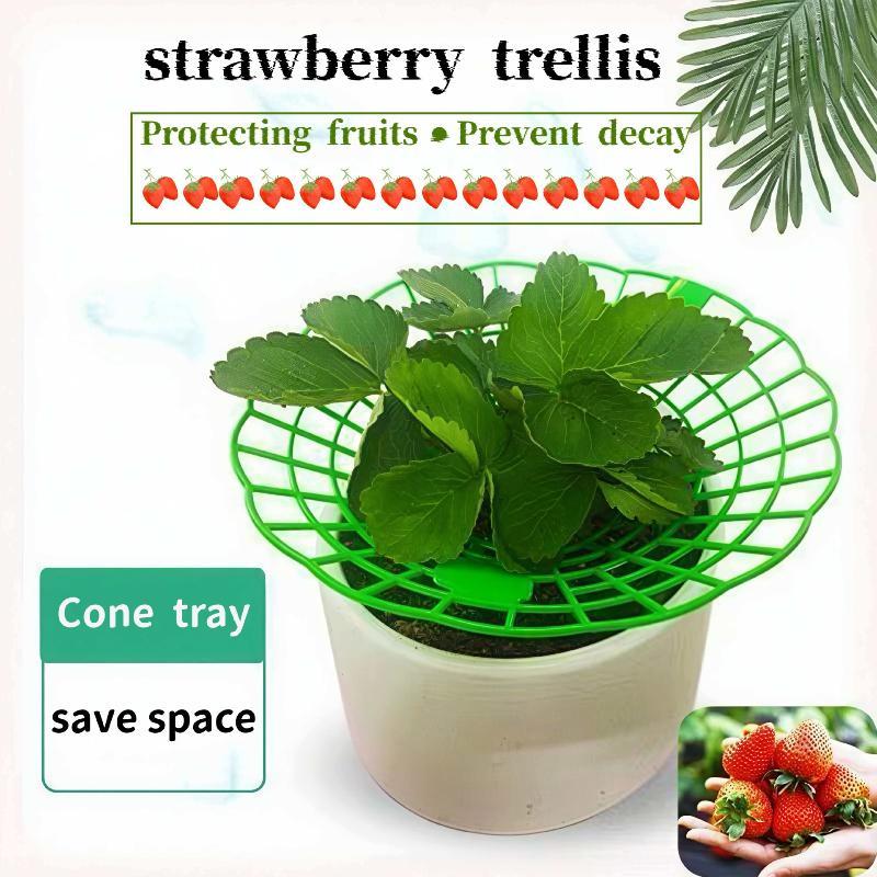 10Pcs Durable Watermelon Support Rack 3-Legged Reusable Strawberry Planting Holder Plant Protector for Farm Vegetable Growing