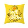 Yellow Pineapple Doublesided Printed pillow cover Short plush Suitable living rooms bedrooms sofas throw cushion cover
