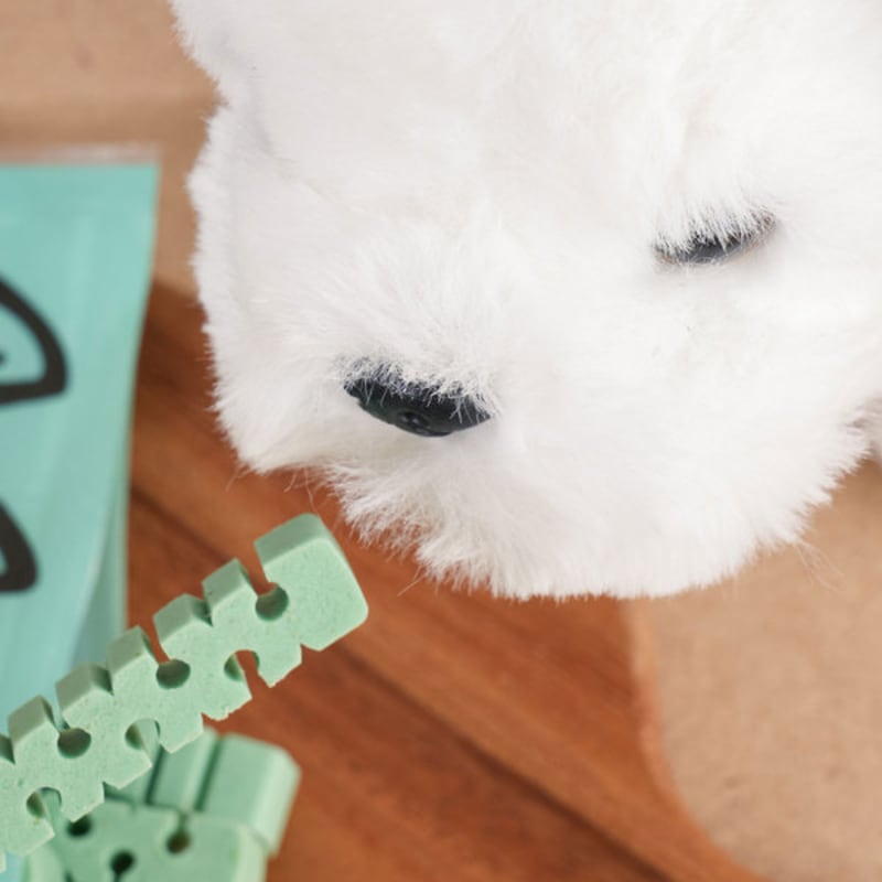 [Pet] Invet Dental Scaling 75 G Lactobacillus